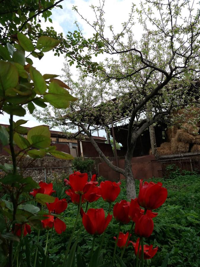 Aida Bed & Breakfast Tatev Kültér fotó