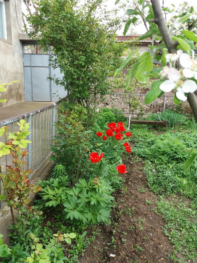Aida Bed & Breakfast Tatev Kültér fotó